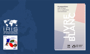 un-livre-blanc-pour-repenser-les-futurs-de-la-cooperation-internationale