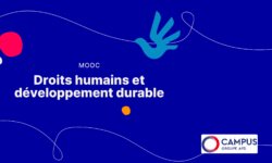 Bannieres_Actu-site-scaled-aspect-ratio-5-3