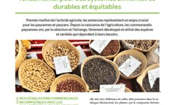 notes-de-sud-38-droit-aux-semences-un-droit-humain-fondamental-pour-des-systemes-alimentaires-durables-et-equitables