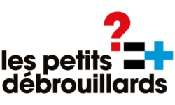 LES PETITS DEBROUILLARDS IDF Offres emplois & Missions dans la solidarité internationale