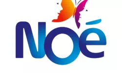 Noé