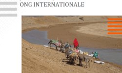Objectifs-decarbonation_2024_GroupeURD.pdf-aspect-ratio-2-2.87
