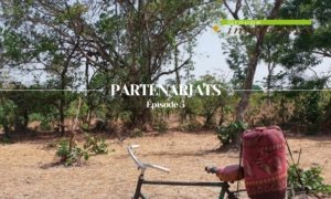 lurgence-dagir-face-au-changement-climatique