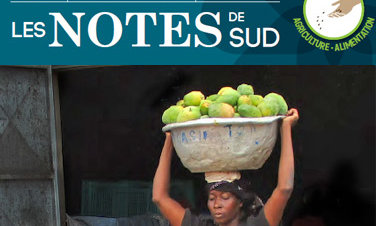 icono-notes-de-sud-aspect-ratio-10x6
