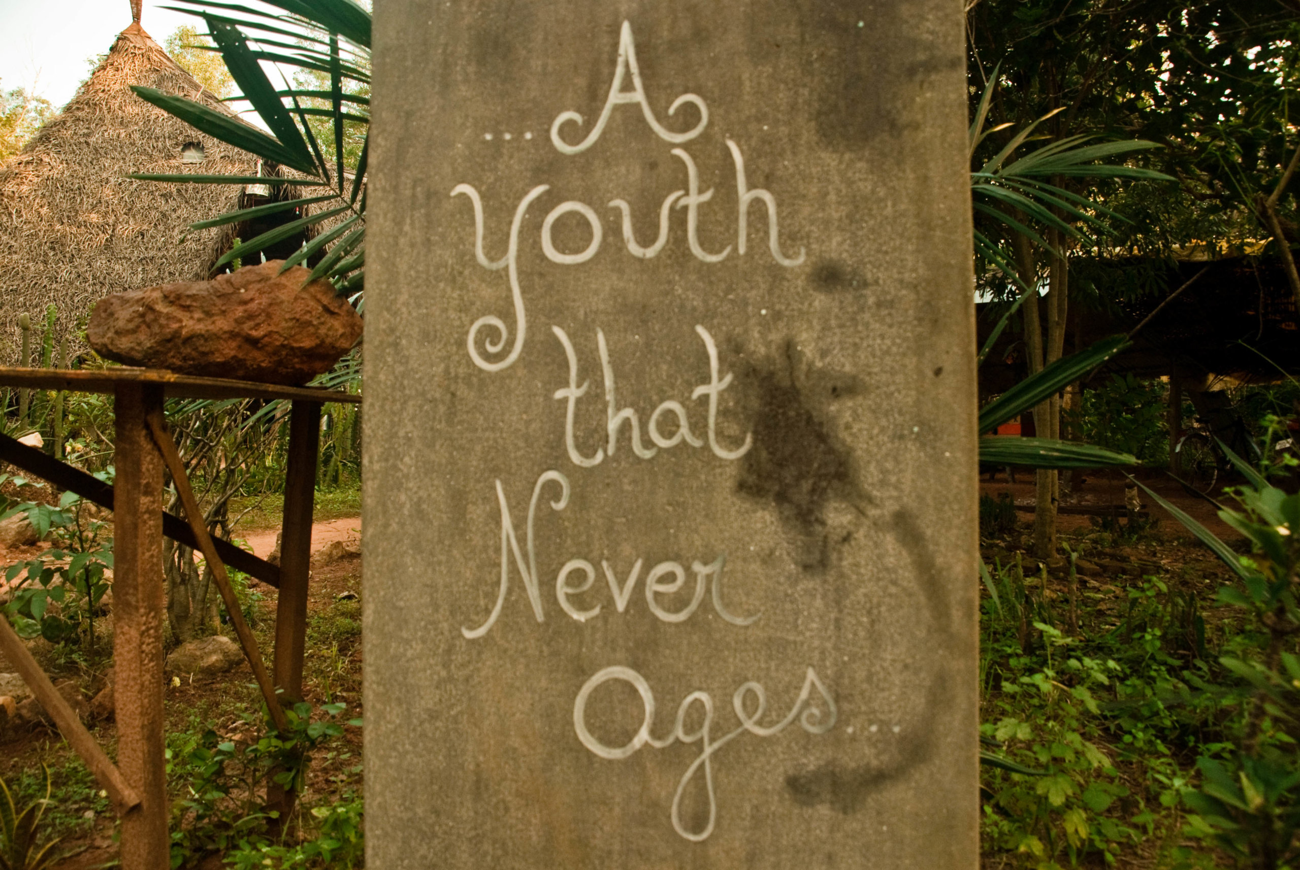 youth-never-ages-edit-1-van-1